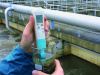 Стартовый комплект Testo 206-pH1 - Карманный pH-метр с принадлежностями